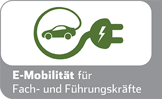 E-Mobilität für Fach und Führungskräfte
