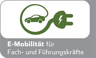 E-Mobilität für Fach und Führungskräfte